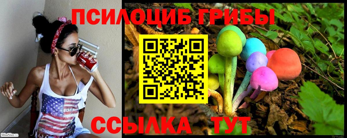 Псилоцибиновые грибы мухоморы  Псилоцибиновые грибы MAGIC MUSHROOMS  Надым  Вход с VPN 